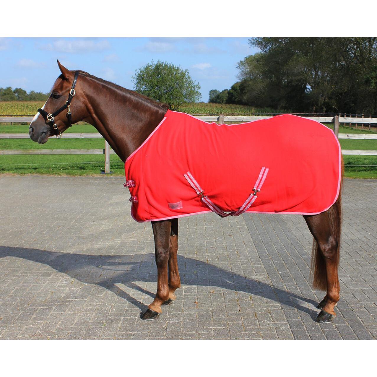 Qhp, Pferdedecke, (145 cm)