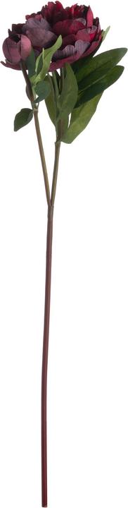 Immagine prodotto Hill Interiors Fiore artificiale Peonia (58 cm)