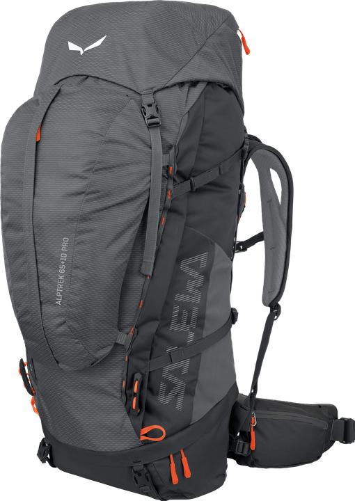 Actual product image Salewa Alptrek + L Pro (65 l)