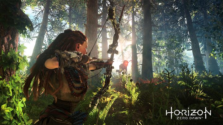 Image du produit Sony Horizon Zero Dawn Complete Psh - Ps4 (PS4, FR)