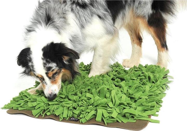 Image du produit Knauder's Best Fouiner sur le gazon (Jouet d'occupation chien)