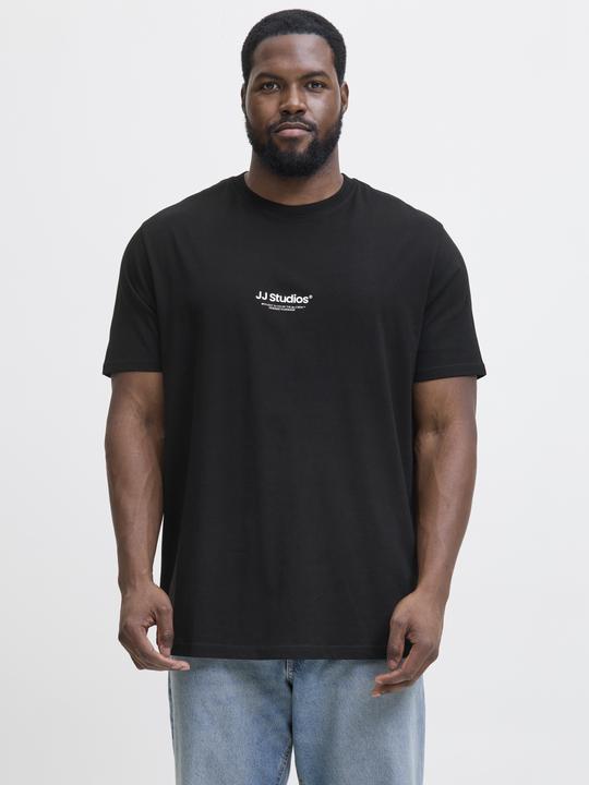 Actual product image Jack & Jones Jjesoho Tee Ss Crew Neck Noos Pls (4XL)