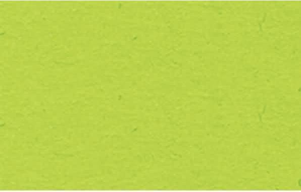 Immagine prodotto Ursus foto cartone 70x100cm 3881451 300g, verde (300 g/m², 1 x)