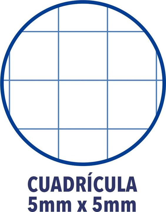 Produktbild Oxford European Book (A4+, Kariert, Harter Einband)