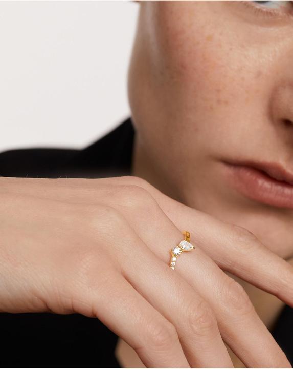 Produktbild Pd Paola Damenring (54, 925 Silber)