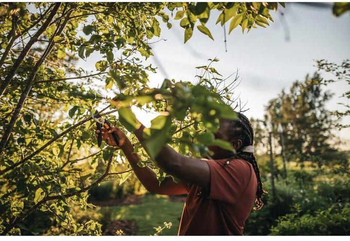 Actual product image Fiskars P321 SingleStep