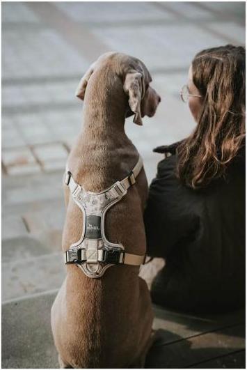 Produktbild Hunter Geschirr Camouflage Divo für Hunde Beige S (S, Hund, Allgemein)