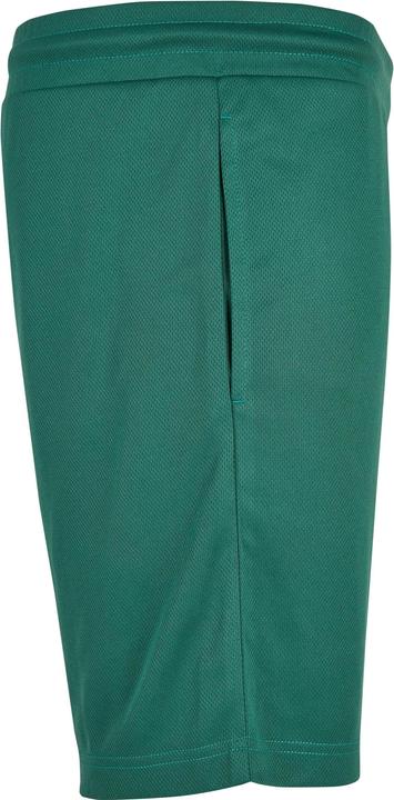 Image du produit Starter Team Mesh Shorts (S)