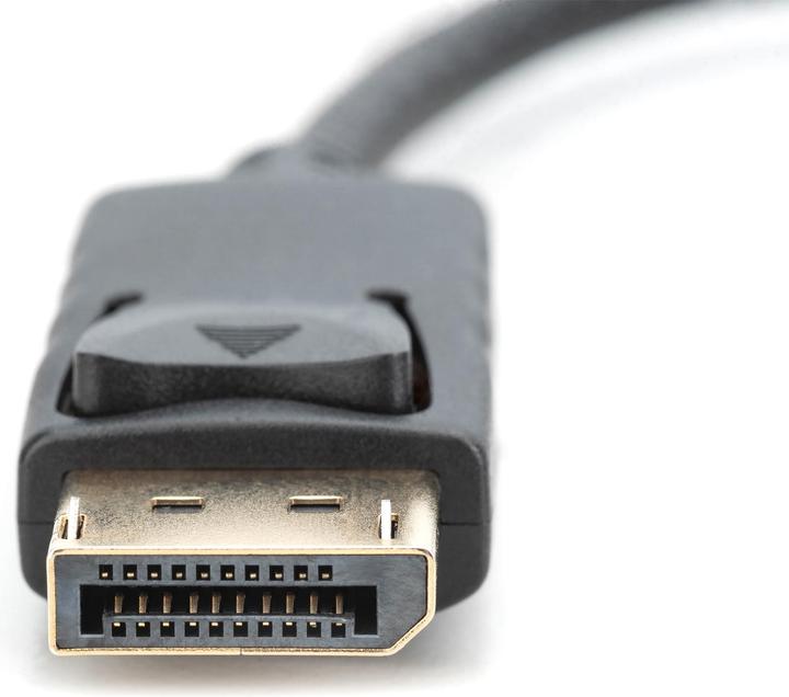 Actual product image Digitus DisplayPort — HDMI (Typ A) (0.15 m)