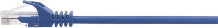 Actual product image Renkforce RF-5044022 RJ45 Network Cable, Patch Cable CAT 5e U/UTP 2.00 m Blue with (U/UTP, CAT5e, 2 m)