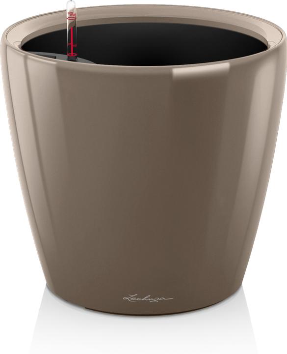 Taupe haute brillance