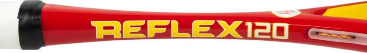 Immagine prodotto Harrow Sports Reflex 120