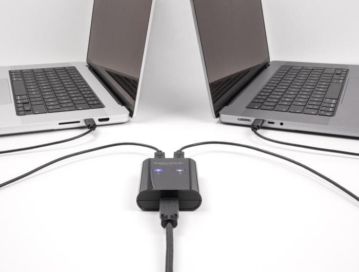 Actual product image Delock USB 2.0 switch for 2 PCs to 1 device