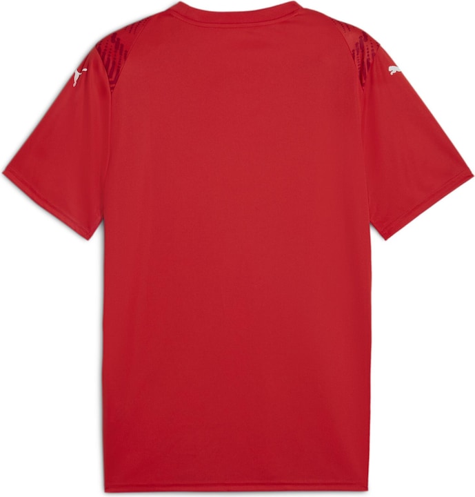 Image du produit Puma teamULTIMATE Jersey (L)