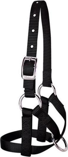 Actual product image Weaver Livestock Alpaca halter