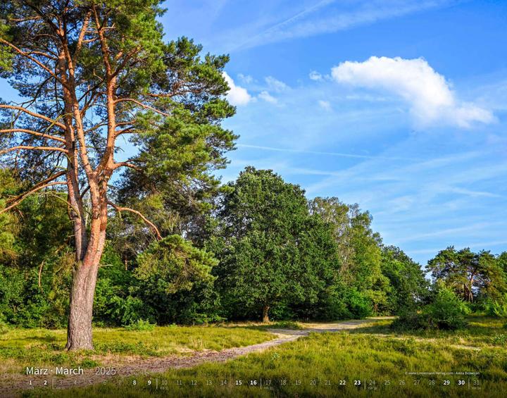 Produktbild Wandern 2025 Grossformat-Kalender 58 x 4