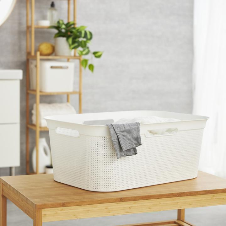 Actual product image Rotho Breezes (41 l)