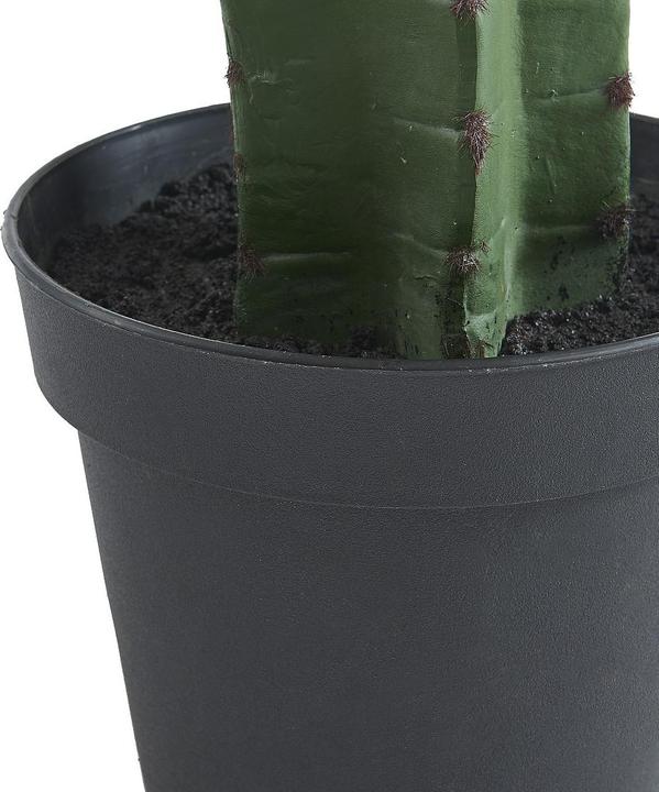 Immagine prodotto Ozaia Guada (145 cm)