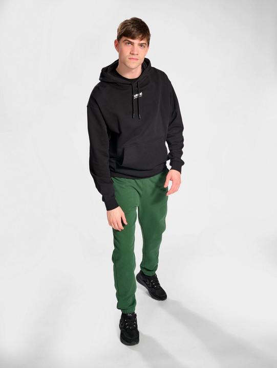 Actual product image hummel Hmllgc Nate Hoodie (XL)