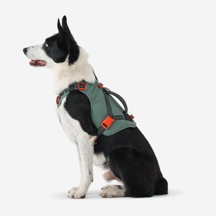 Produktbild Caperlan Hundegeschirr Wandern (L)