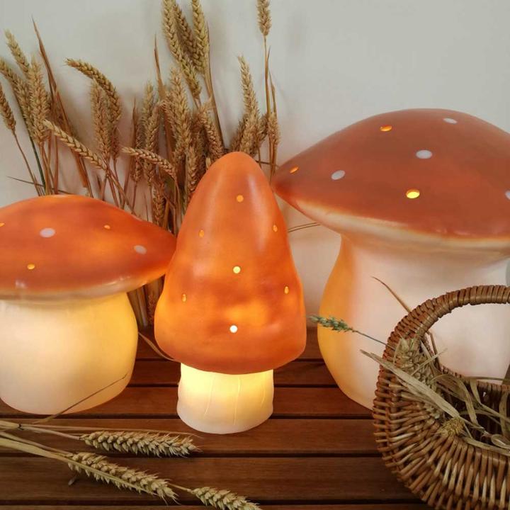 Image du produit Egmont Champignon Terra