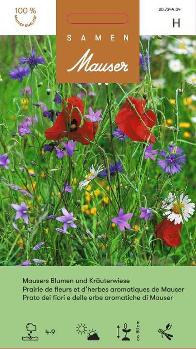 Actual product image Samen Mauser Mauser's flower and herb meadow (Bulbous plant)