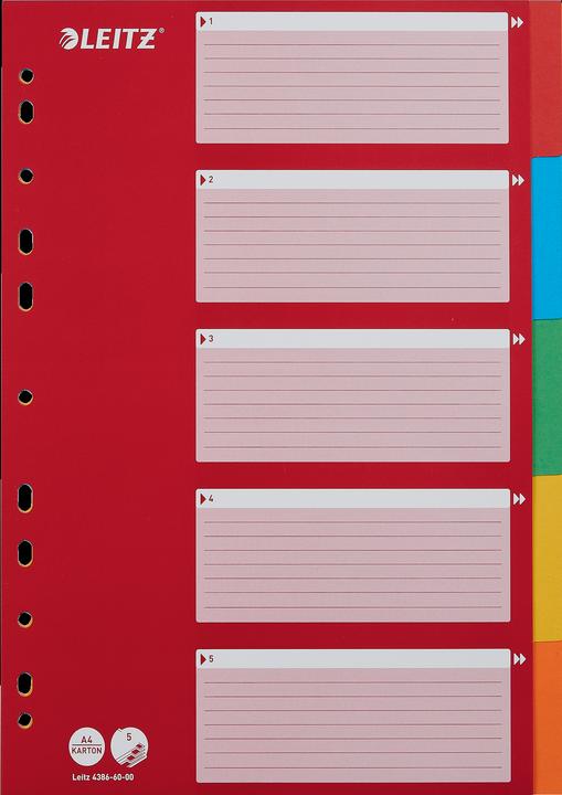 Produktbild Leitz Kartonregister Blanko