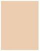 Immagine prodotto Revlon Fondazione ColorStay Full Cover™ 210 Beige sabbia (210 Sabbia beige)
