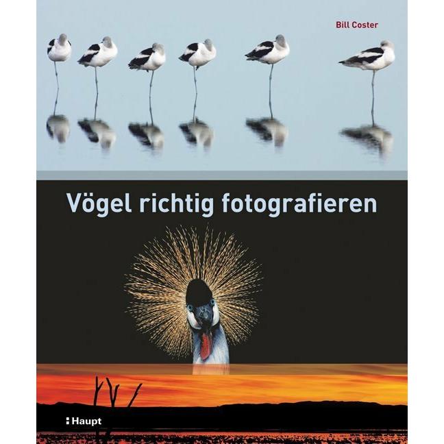 Vögel richtig fotografieren, Ratgeber von Bill Coster