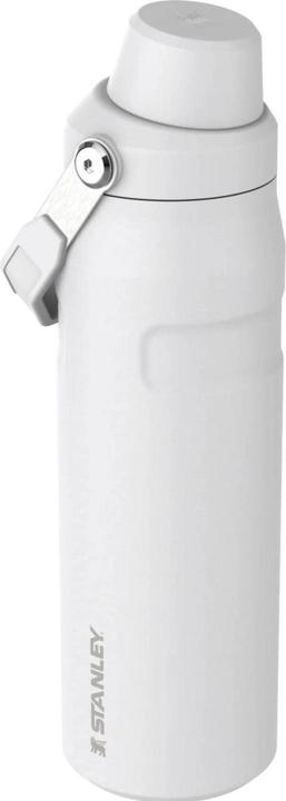 Immagine prodotto Stanley 1913 IceFlow Fast Flow Flasche (0.70 l)