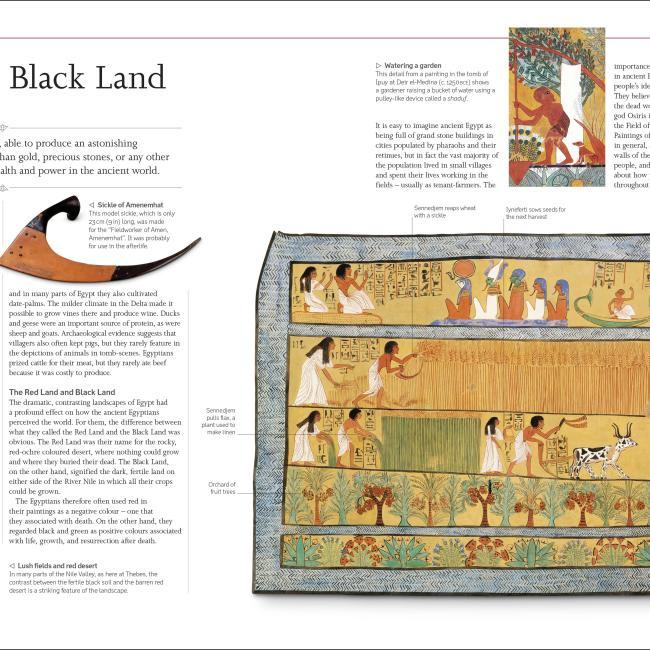 Actual product image Ancient Egypt (English, Steven Snape, 2021)