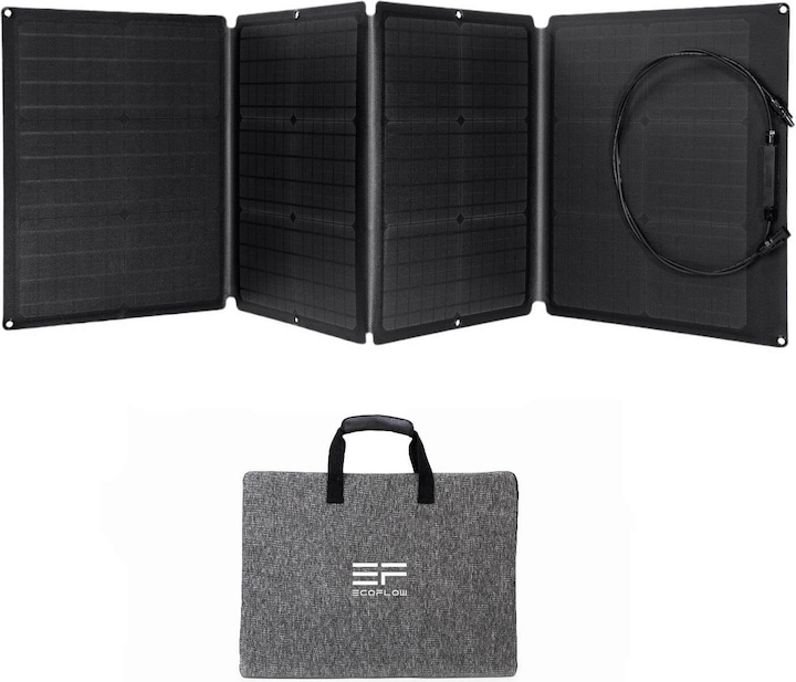 Immagine prodotto EcoFlow Pannello solare (110 W, 4 kg)