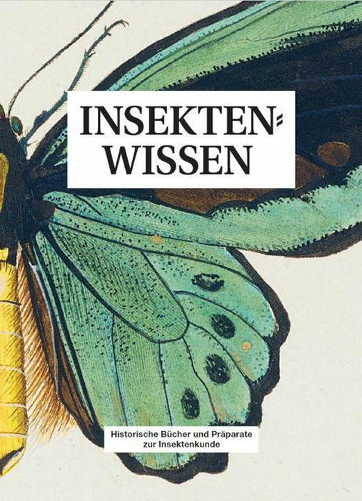 Produktbild Insektenwissen (Deutsch, Thomas Thibault Döring)