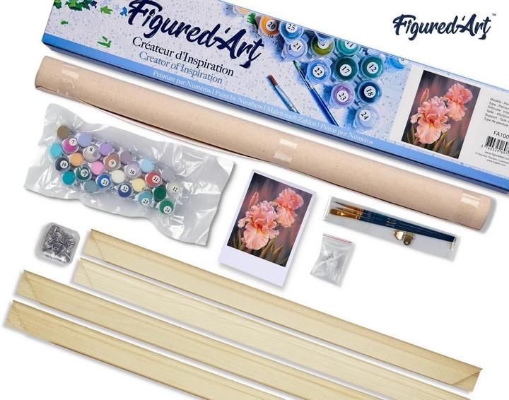 Produktbild Figured'Art Malen nach Zahlen Set Iris Blumen