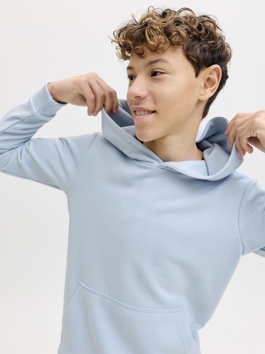 Produktbild Jack & Jones Jjebradley Sweat Hood Noos Jnr (152)