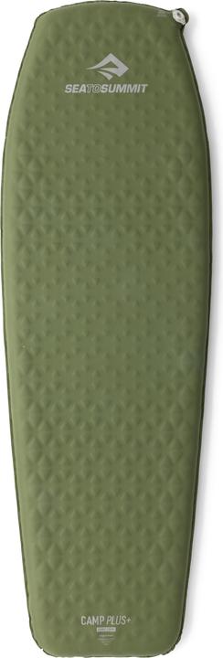 Cypress, Grün, Oliv, Olive