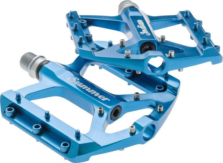 Indian Summer Buffalo Chief