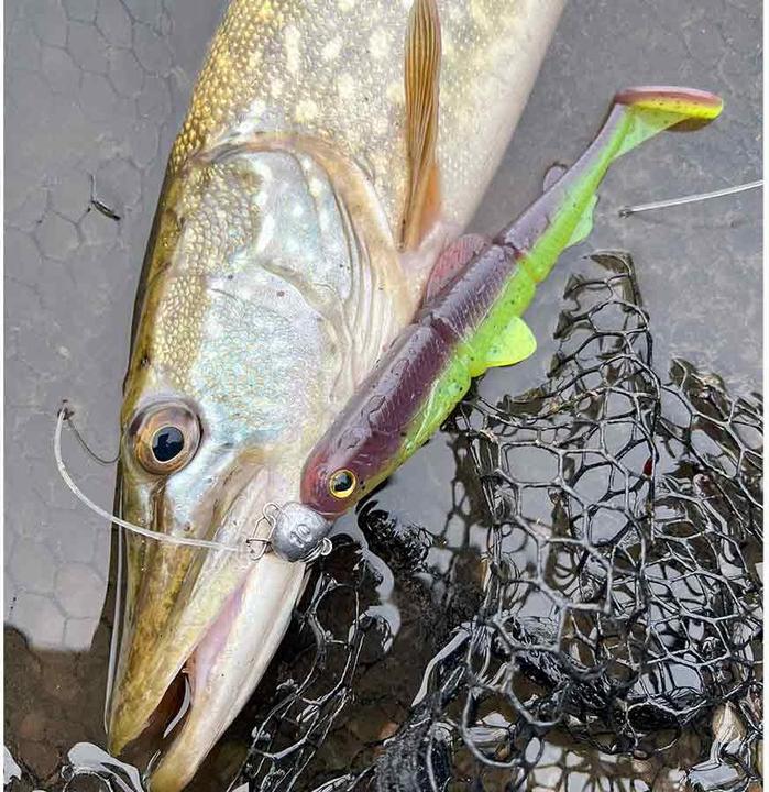 Immagine prodotto Stucki Fishing Snugly Shaker