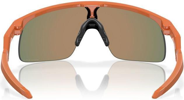 Actual product image Oakley Resistor (Mat Ginger, prizm ruby)