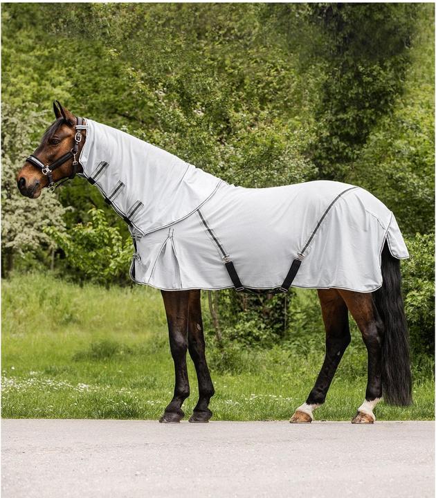 Grigio, Grigio argento