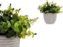 Ibergarden pianta verde fiore lilla con vaso grigio (20.60 cm)