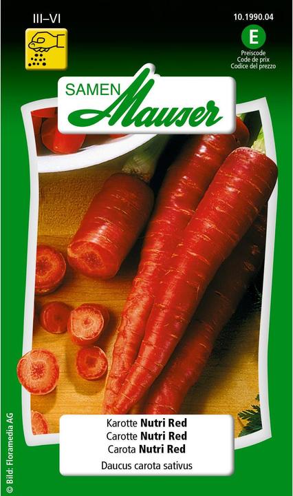 Légumes