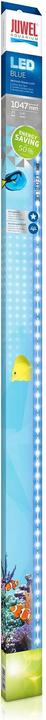 Productafbeelding Juwel Aquarium Blauw (LED, 21 W)