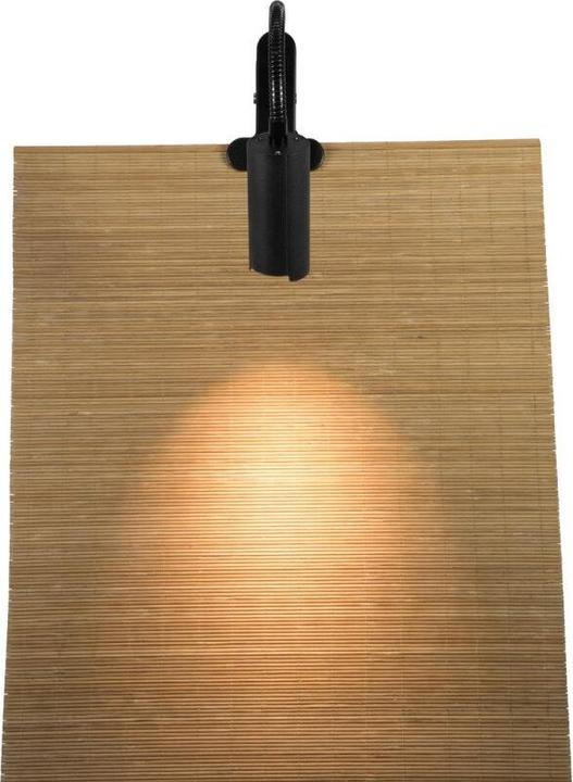 Immagine prodotto Eurolite Luce a morsetto