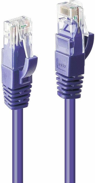Actual product image Lindy Network cable (U/UTP, CAT6, 2 m)