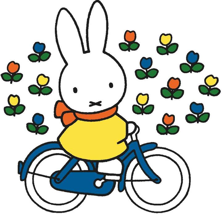 Produktbild Mein Miffy Wassermalspass