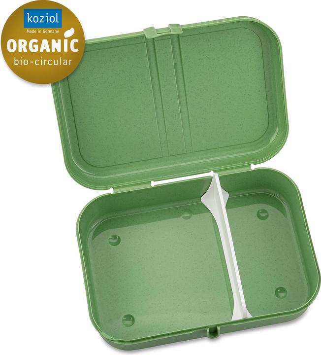 Actual product image Koziol Lunchbox Pascal L Green