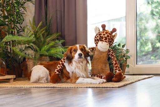 Image du produit Beeztees Hundespielzeug Giraffe XL (Jouet en peluche chien)