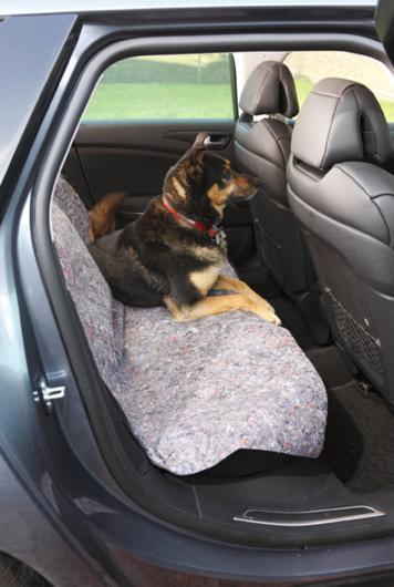 Actual product image Mottez Train blanket