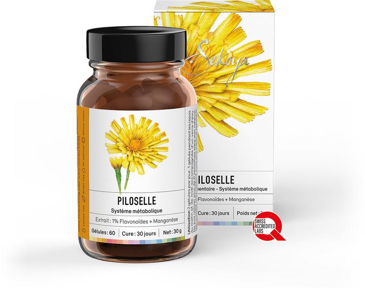 Actual product image Sekoya Hawkweed | Supplement for water retention (60 Piece, Capsules)